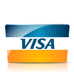 Visa Payment