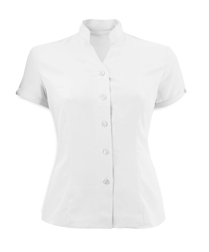 Alexandra collarless fitted blouse - BIG nano - Best Shopping ...