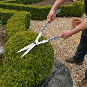 GDN-683_Topiary_Shears_1.jpg