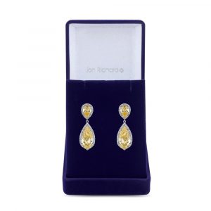 jon-richard-silver-plated-cubic-zirconia-yellow-crystal-peardrop-earring-gift-boxed-p46493-58443_image.jpg